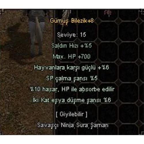  +8 GÜMÜŞ BİLEZİK 4 EFSUN 10 HP ABSORBE-6 İKİ KAT EŞYA